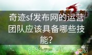 奇迹sf发布网的运营团队应该具备哪些技能？