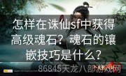 怎样在诛仙sf中获得高级魂石？魂石的镶嵌技巧是什么？