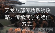 天龙八部传功系统攻略，传承武学的绝佳方式！