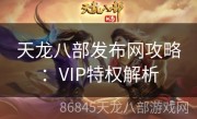 天龙八部发布网攻略：VIP特权解析