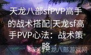 天龙八部sfPVP高手的战术搭配|天龙sf高手PVP心法：战术策略