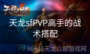 天龙sfPVP高手的战术搭配