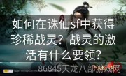 如何在诛仙sf中获得珍稀战灵？战灵的激活有什么要领？