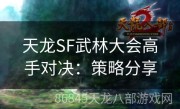 天龙SF武林大会高手对决：策略分享