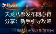 天龙八部发布网心得分享：新手引导攻略