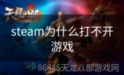 steam为什么打不开游戏