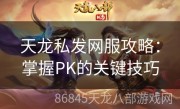 天龙私发网服攻略：掌握PK的关键技巧