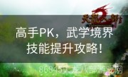 高手PK，武学境界技能提升攻略！