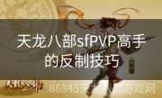 天龙八部sfPVP高手的反制技巧