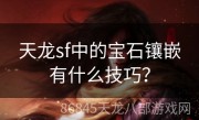 天龙sf中的宝石镶嵌有什么技巧？