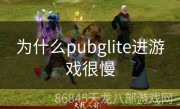 为什么pubglite进游戏很慢