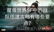 魔兽世界SF中的战队组建攻略有哪些要点？