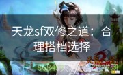 天龙sf双修之道：合理搭档选择