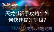 天龙sf新手攻略：如何快速提升等级？