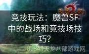 竞技玩法：魔兽SF中的战场和竞技场技巧？