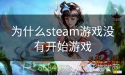 为什么steam游戏没有开始游戏