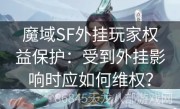 魔域SF外挂玩家权益保护：受到外挂影响时应如何维权？