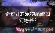 奇迹sf的宠物系统如何培养？