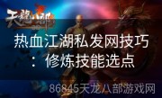 热血江湖私发网技巧：修炼技能选点