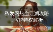 私发网热血江湖攻略：VIP特权解析