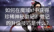 如何在魔域sf中获得珍稀神秘徽记？徽记的升级技巧是什么？