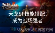 天龙SF技能搭配：成为战场强者