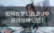 如何在梦幻西游sf中获得珍稀仙侣？