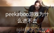 peekaboo游戏为什么进不去