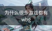 为什么很多游戏都有wbg