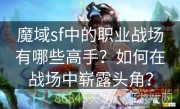 魔域sf中的职业战场有哪些高手？如何在战场中崭露头角？