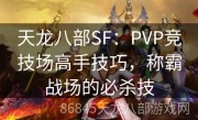 天龙八部SF：PVP竞技场高手技巧，称霸战场的必杀技