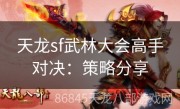 天龙sf武林大会高手对决：策略分享