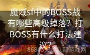 魔域sf中的BOSS战有哪些高级掉落？打BOSS有什么打法建议？