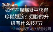 如何在魔域sf中获得珍稀翅膀？翅膀的升级有什么技巧？