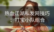 热血江湖私发网技巧：打宝小队组合