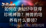 如何在诛仙sf中获得珍稀神兽？神兽的培养有什么要领？