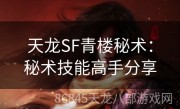 天龙SF青楼秘术：秘术技能高手分享