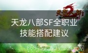 天龙八部SF全职业技能搭配建议