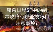 魔兽世界SF中的副本攻略有哪些技巧和注意事项？