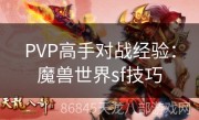 PVP高手对战经验：魔兽世界sf技巧