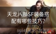 天龙八部SF装备搭配有哪些技巧？