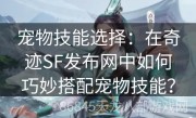 宠物技能选择：在奇迹SF发布网中如何巧妙搭配宠物技能？