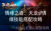 情缘之道：天龙sf情缘技能搭配攻略