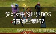 梦幻sf中的世界BOSS有哪些策略？