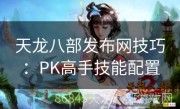 天龙八部发布网技巧：PK高手技能配置