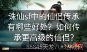 诛仙sf中的仙侣传承有哪些好处？如何传承更高级的仙侣？