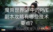 魔兽世界SF中的PVE副本攻略有哪些技术要点？