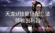 天龙sf技能搭配：法师输出利器